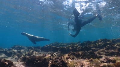 Galápagos Adventure: Volcanic landscapes, turquoise waters, and wildlife found nowhere else on earth.