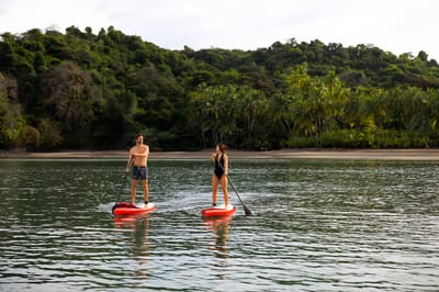 A couple paddleboarding on glassy water below the jungle at Islas Secas, Panama