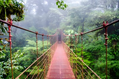 A red suspension bridge stretching into the misty green canopy of the Monteverde cloud forest, Costa Rica